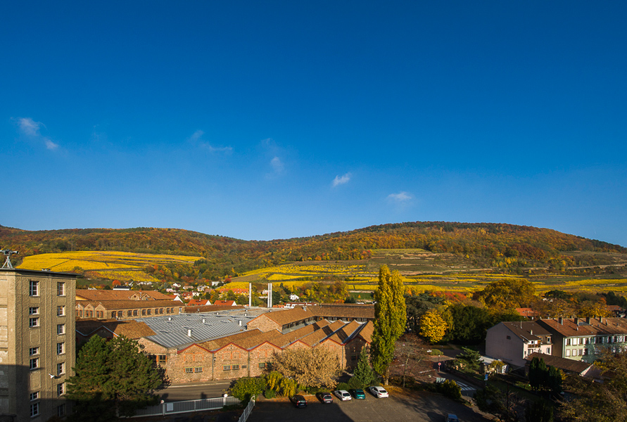 1er étage - Vue Est